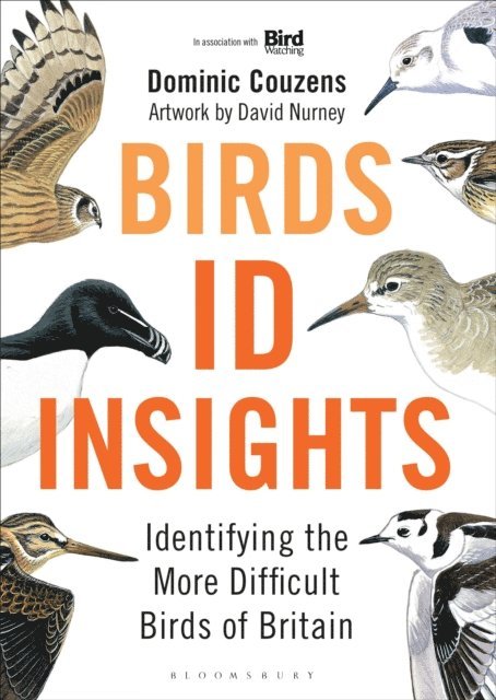 Dominic Couzens - Birds: ID Insights, E-bok
