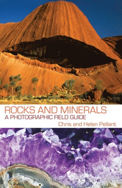 Chris Pellant, Helen Pellant - Rocks and Minerals, E-bok