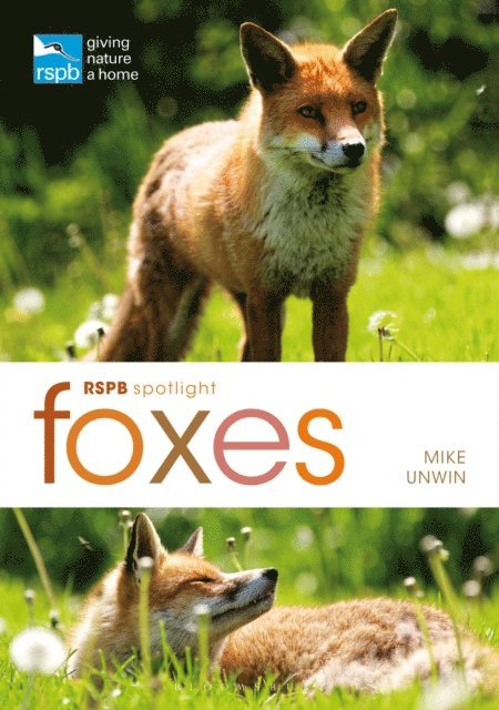 Mike Unwin - RSPB Spotlight: Foxes, E-bok