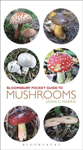 John C. Harris - Pocket Guide to Mushrooms, E-bok