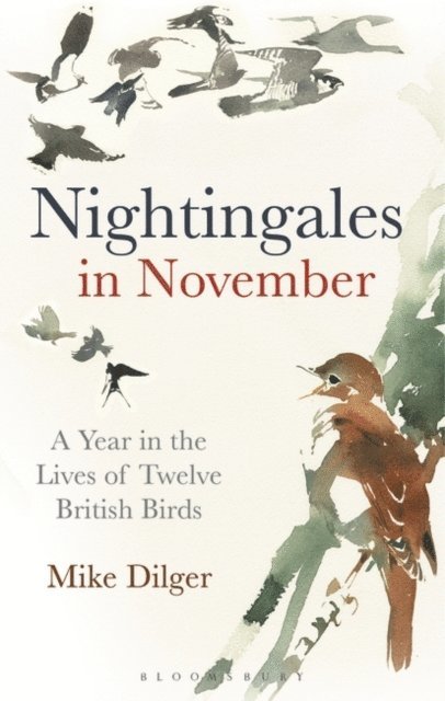 Mike Dilger - Nightingales in November, E-bok. Tillgänglighet: Lägg i varukorg