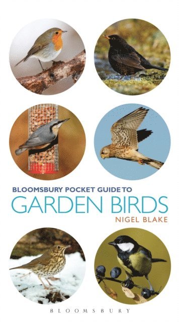 Nigel Blake - Pocket Guide To Garden Birds, E-bok