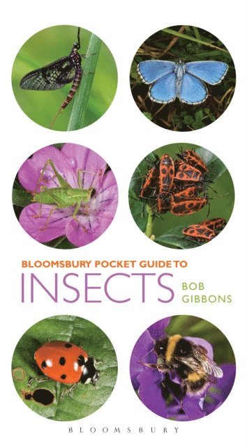 Bob Gibbons - Pocket Guide to Insects, E-bok