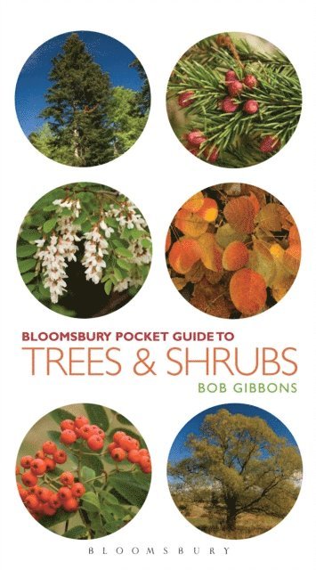 Bob Gibbons - Pocket Guide to Trees and Shrubs, E-bok