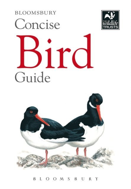 Bloomsbury - Concise Bird Guide, E-bok