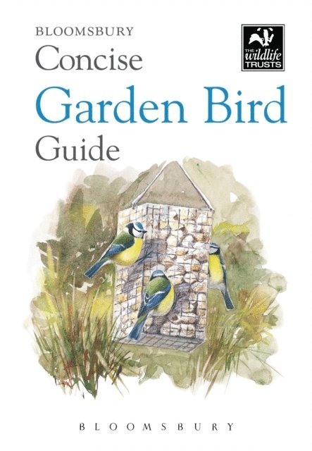 Bloomsbury - Concise Garden Bird Guide, E-bok