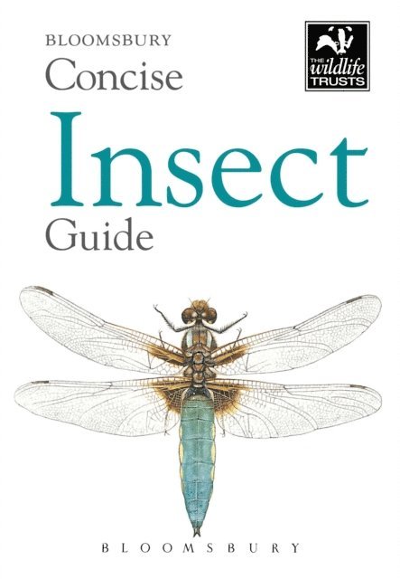 Bloomsbury - Concise Insect Guide, E-bok