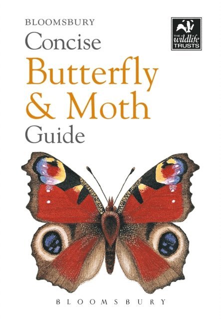 Bloomsbury - Concise Butterfly and Moth Guide, E-bok