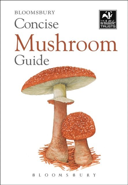 Bloomsbury - Concise Mushroom Guide, E-bok