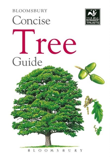 Bloomsbury - Concise Tree Guide, E-bok
