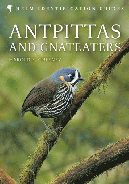 Harold Greeney - Antpittas and Gnateaters, E-bok