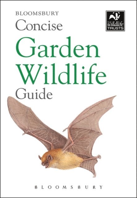 Bloomsbury - Concise Garden Wildlife Guide, E-bok