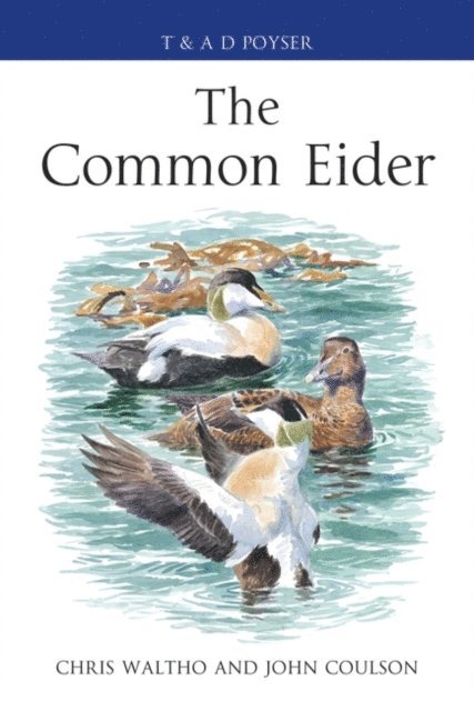 Chris Waltho, John Coulson - Common Eider, E-bok