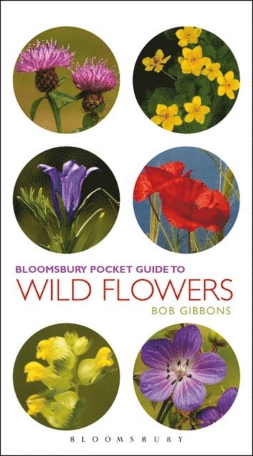 Bob Gibbons - Pocket Guide To Wild Flowers, E-bok