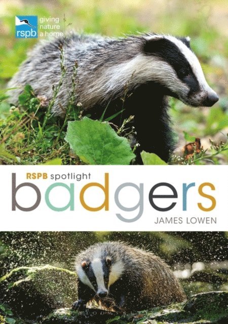James Lowen - RSPB Spotlight: Badgers, E-bok