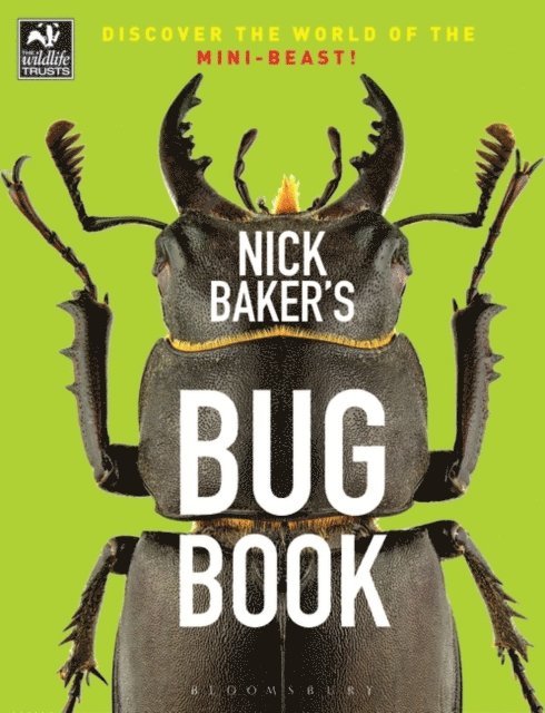 Nick Baker - Nick Baker's Bug Book, E-bok