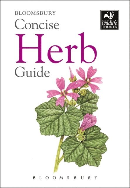 Bloomsbury - Concise Herb Guide, E-bok