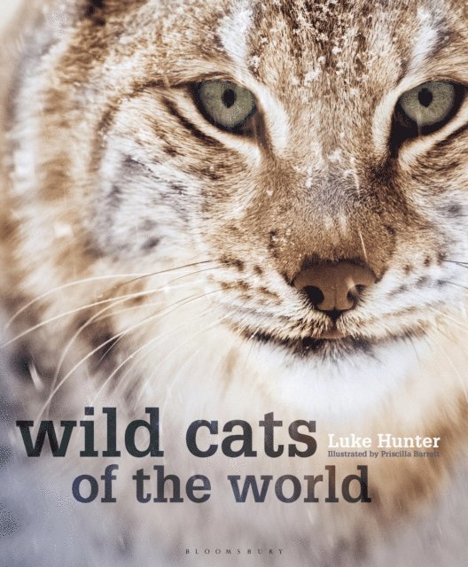 Luke Hunter - Wild Cats of the World, E-bok