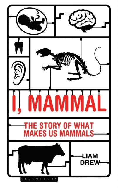 Liam Drew - I, Mammal, E-bok