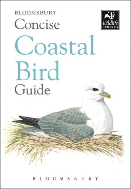 Bloomsbury Publishing - Concise Coastal Bird Guide, E-bok