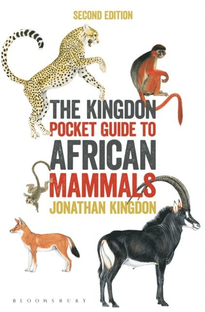 Jonathan Kingdon - Kingdon Pocket Guide to African Mammals, E-bok