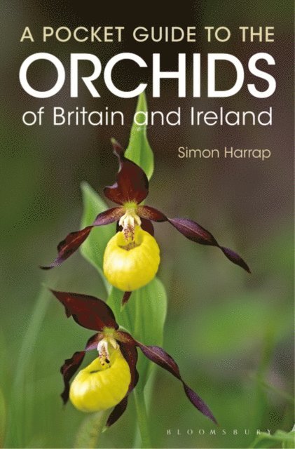 Simon Harrap - Pocket Guide to the Orchids of Britain and Ireland, E-bok