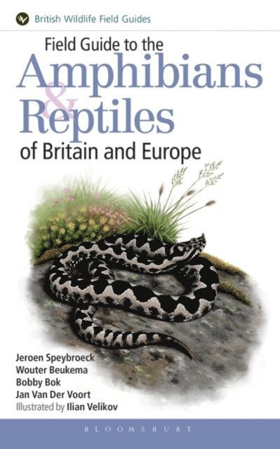 Jeroen Speybroeck, Wouter Beukema, Bobby Bok, Jan Van Der Voort - Field Guide to the Amphibians and Reptiles of Britain and Europe, E-bok