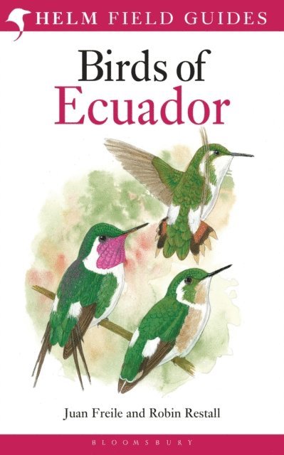Juan Freile, Robin Restall - Field Guide to the Birds of Ecuador, E-bok