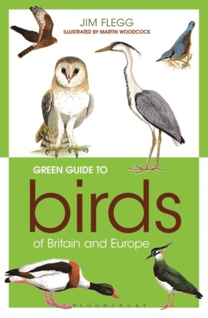 Jim Flegg - Green Guide to Birds Of Britain And Europe, E-bok