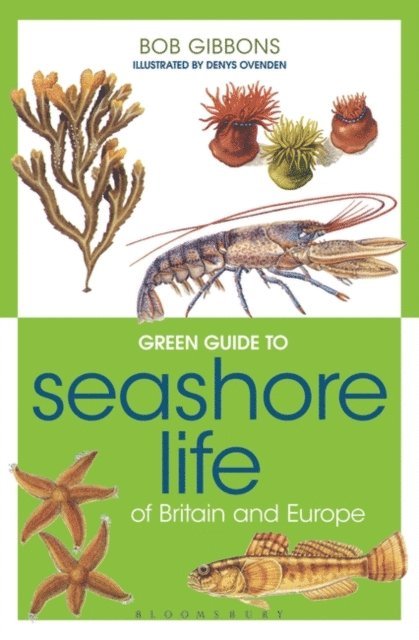 Bob Gibbons - Green Guide to Seashore Life Of Britain And Europe, E-bok
