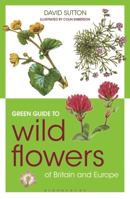 David Sutton - Green Guide to Wild Flowers Of Britain And Europe, E-bok