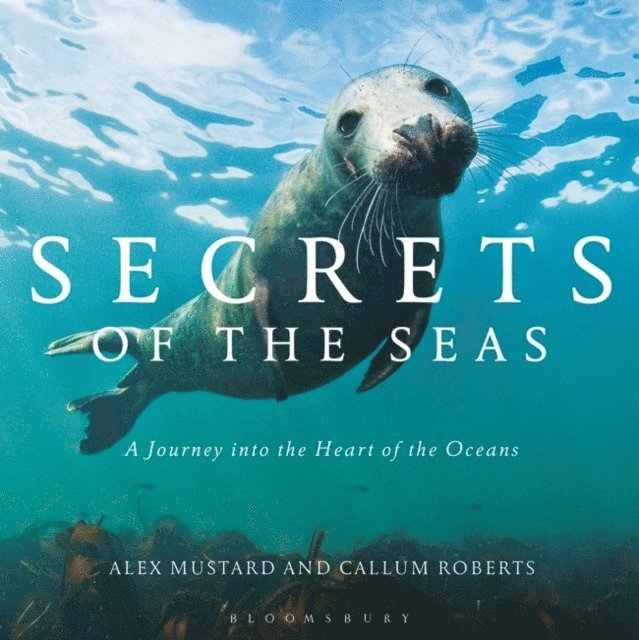 Callum Roberts - Secrets of the Seas, E-bok
