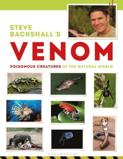Steve Backshall - Steve Backshall's Venom, E-bok