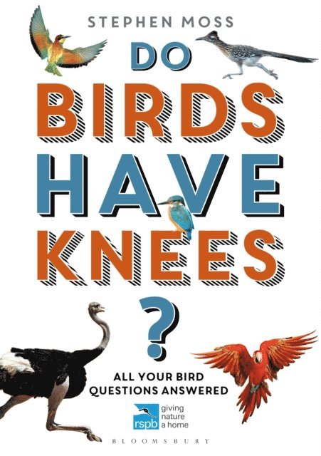 Stephen Moss - Do Birds Have Knees?, E-bok