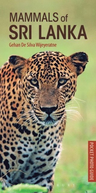 Gehan de Silva Wijeyeratne - Mammals of Sri Lanka, E-bok
