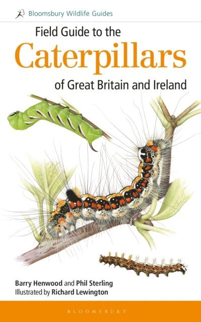 Phil Sterling, Barry Henwood - Field Guide to the Caterpillars of Great Britain and Ireland, E-bok