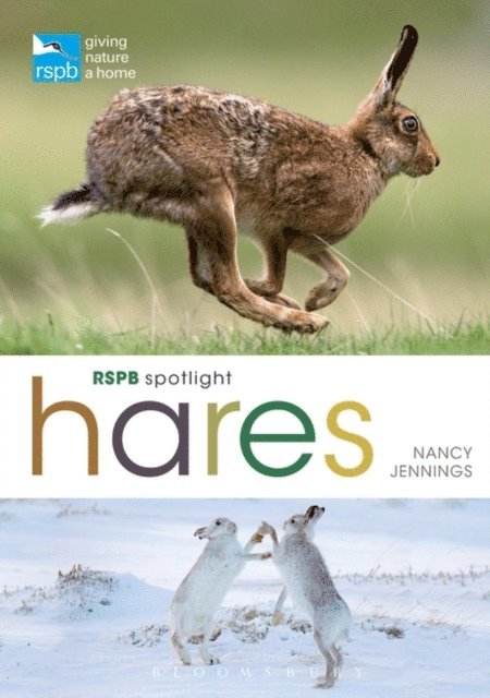 Nancy Jennings - RSPB Spotlight Hares, E-bok