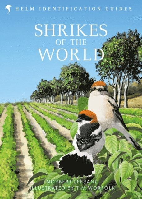 Norbert Lefranc - Shrikes of the World, E-bok