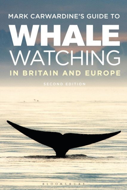 Mark Carwardine - Mark Carwardine's Guide To Whale Watching In Britain And Europe, E-bok