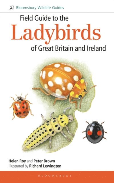 Helen Roy, Peter Brown - Field Guide to the Ladybirds of Great Britain and Ireland, E-bok