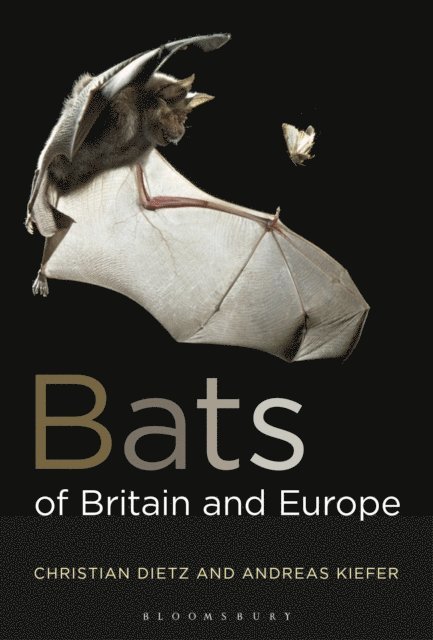 Christian Dietz, Andreas Kiefer - Bats of Britain and Europe, E-bok