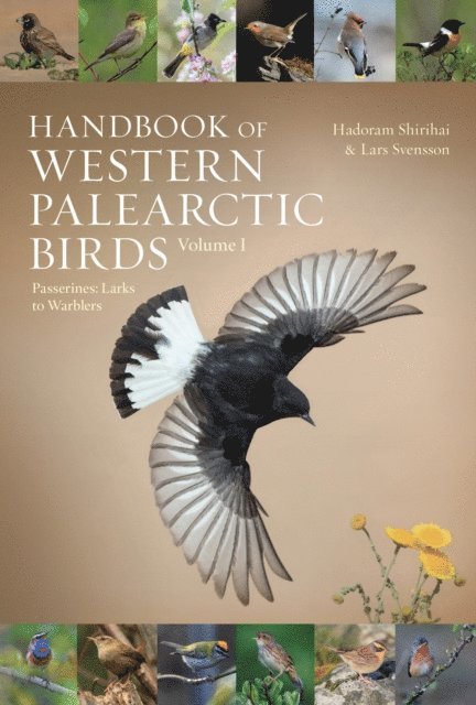 Hadoram Shirihai, Lars Svensson - Handbook of Western Palearctic Birds, Volume 1, E-bok