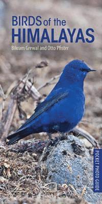Bikram Grewal, Otto Pfister - Birds of the Himalayas, E-bok