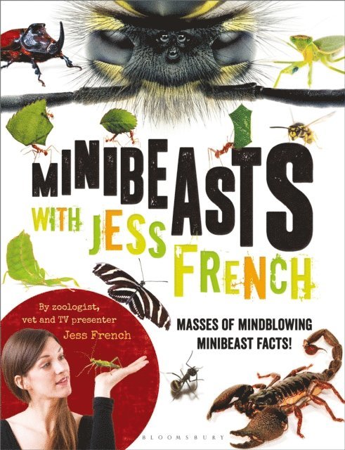 Jess French - Minibeasts with Jess French, E-bok