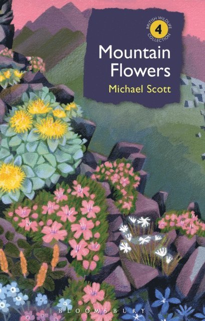 Michael Scott - Mountain Flowers, E-bok
