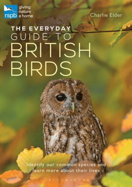 Charlie Elder - Everyday Guide to British Birds, E-bok