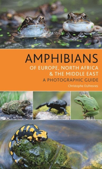Christophe Dufresnes - Amphibians of Europe, North Africa and the Middle East, E-bok