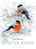 Winter Birds