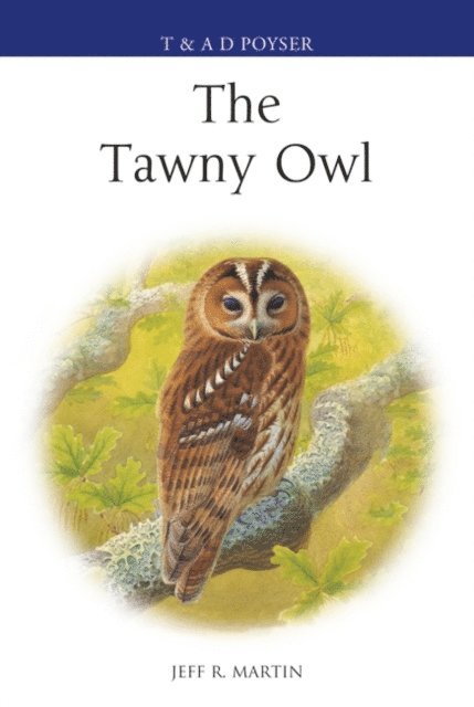 Jeff Martin - Tawny Owl, E-bok