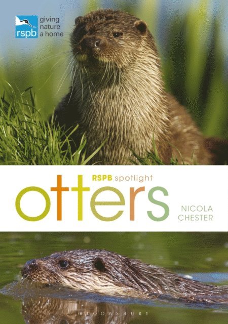 Nicola Chester - RSPB Spotlight: Otters, E-bok